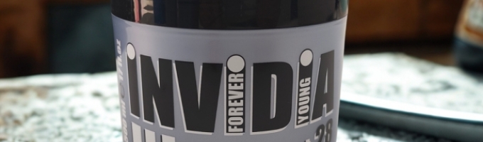 Tenuta Extra Forte | Invidia Gel Cement 28 da 500ml